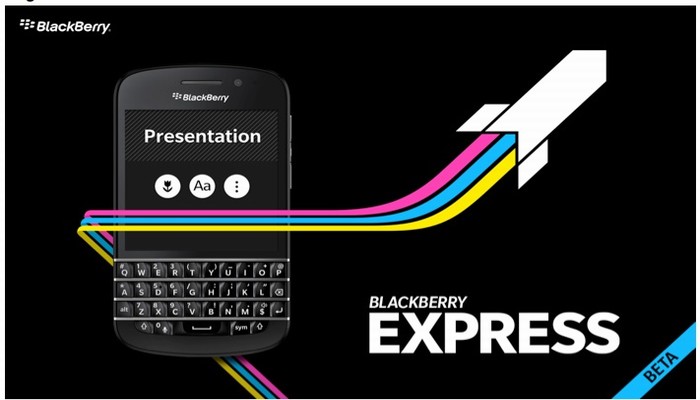 domestic shorthair 1 - BlackBerry Express: Ứng dụng giúp tạo bài thuyết trình nhanh và dễ dàng